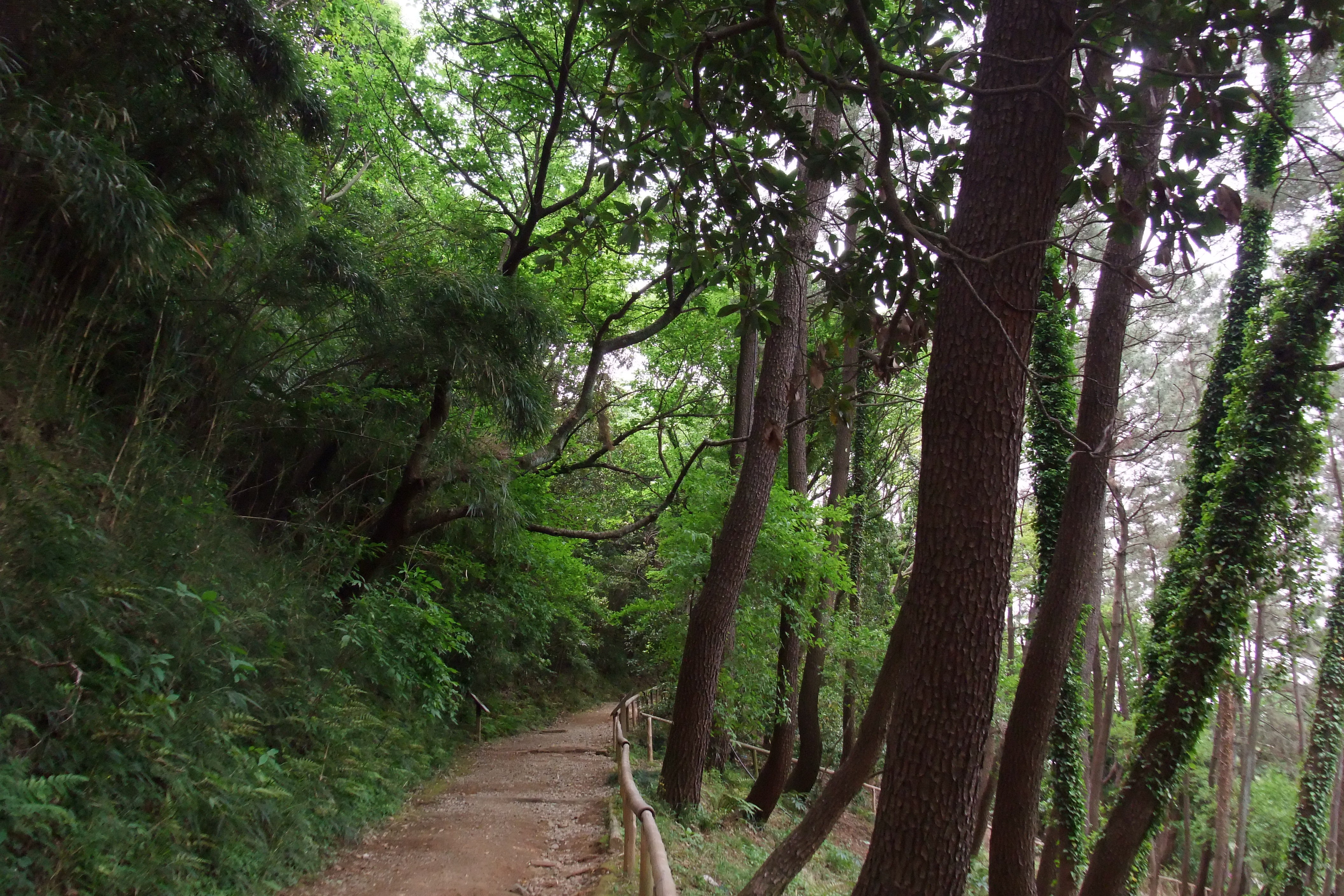 青森県総合芸術パーク　グランドデザイン