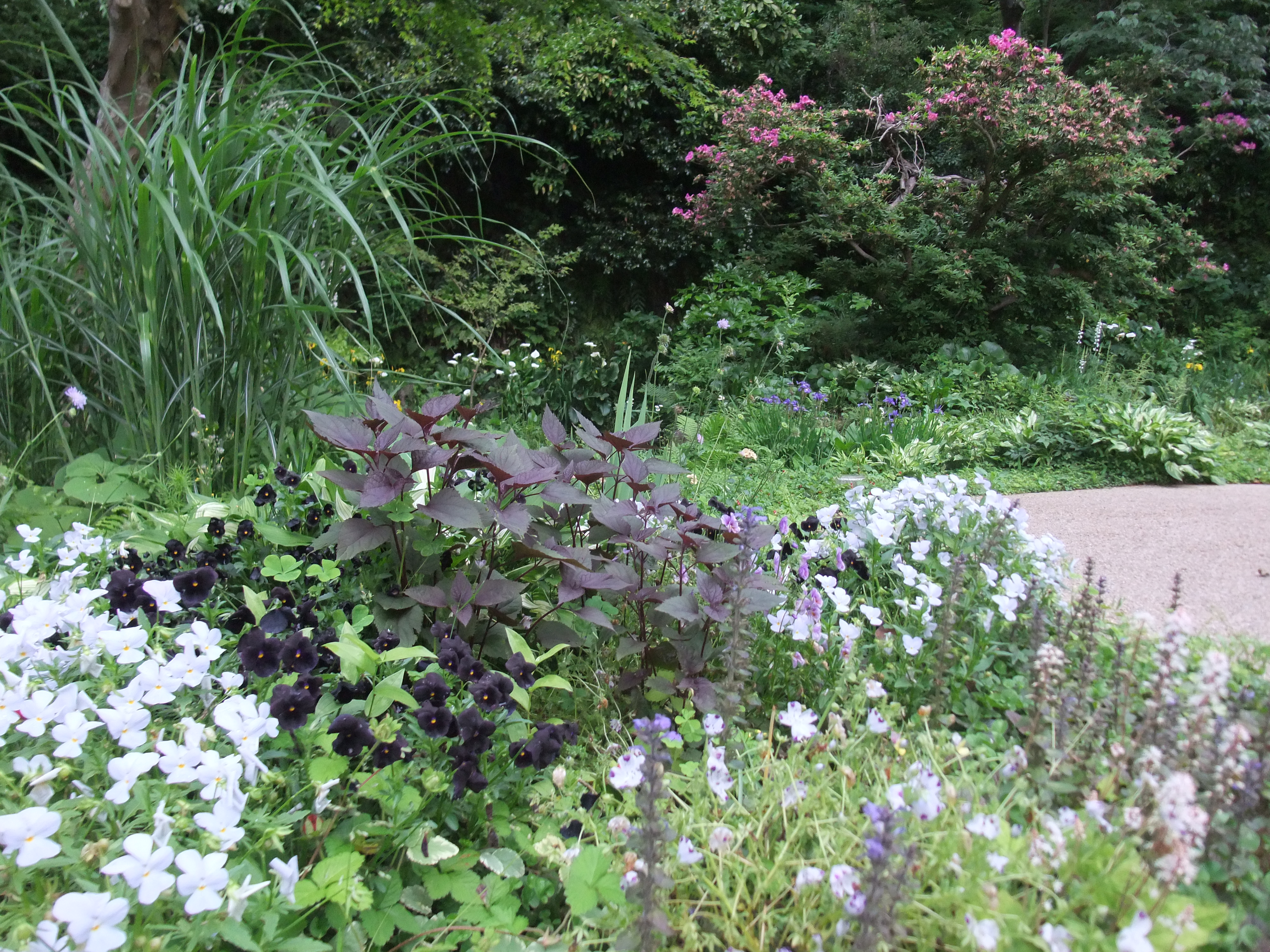 杉並グループホーム